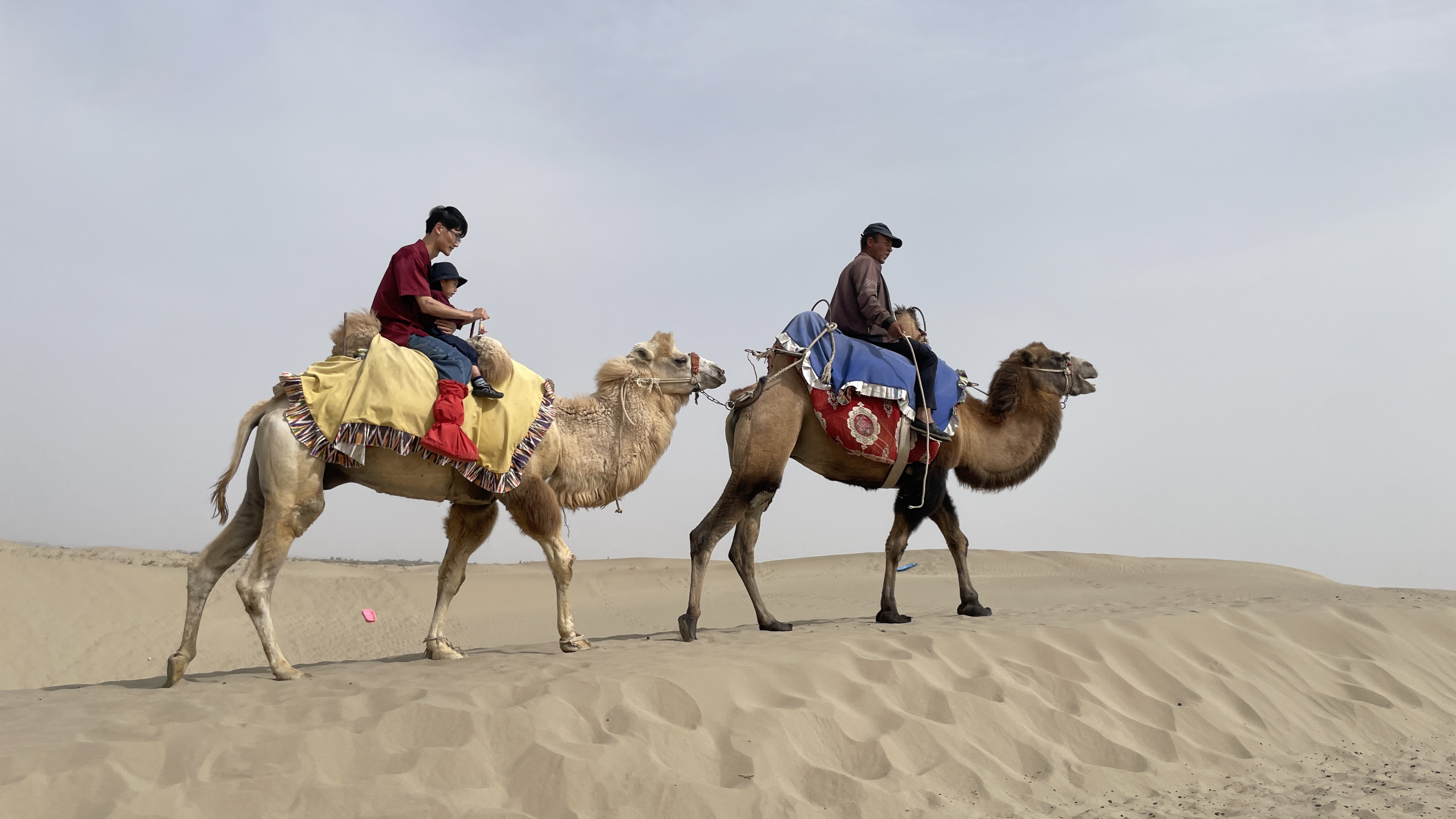 Camel riding in the desert